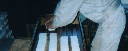 `a,`aΌ,`a,JΌ,ÂA葢,
